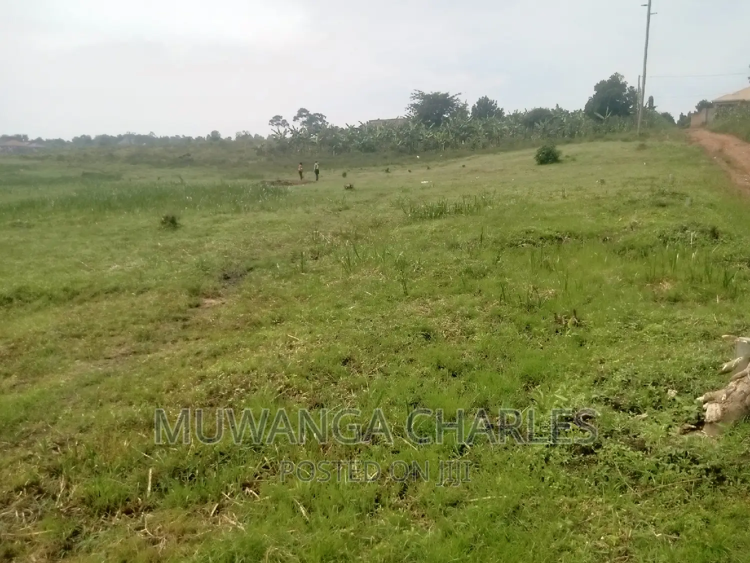 100by50ft Plot of Land for Sale Kasangati Mawule