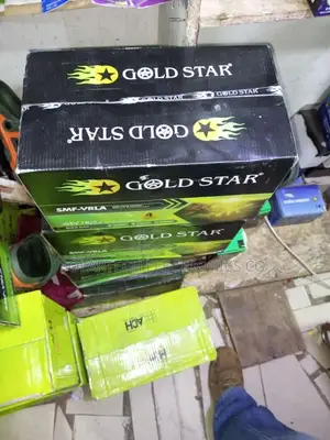 200 Amps Gold Star Solar Battery