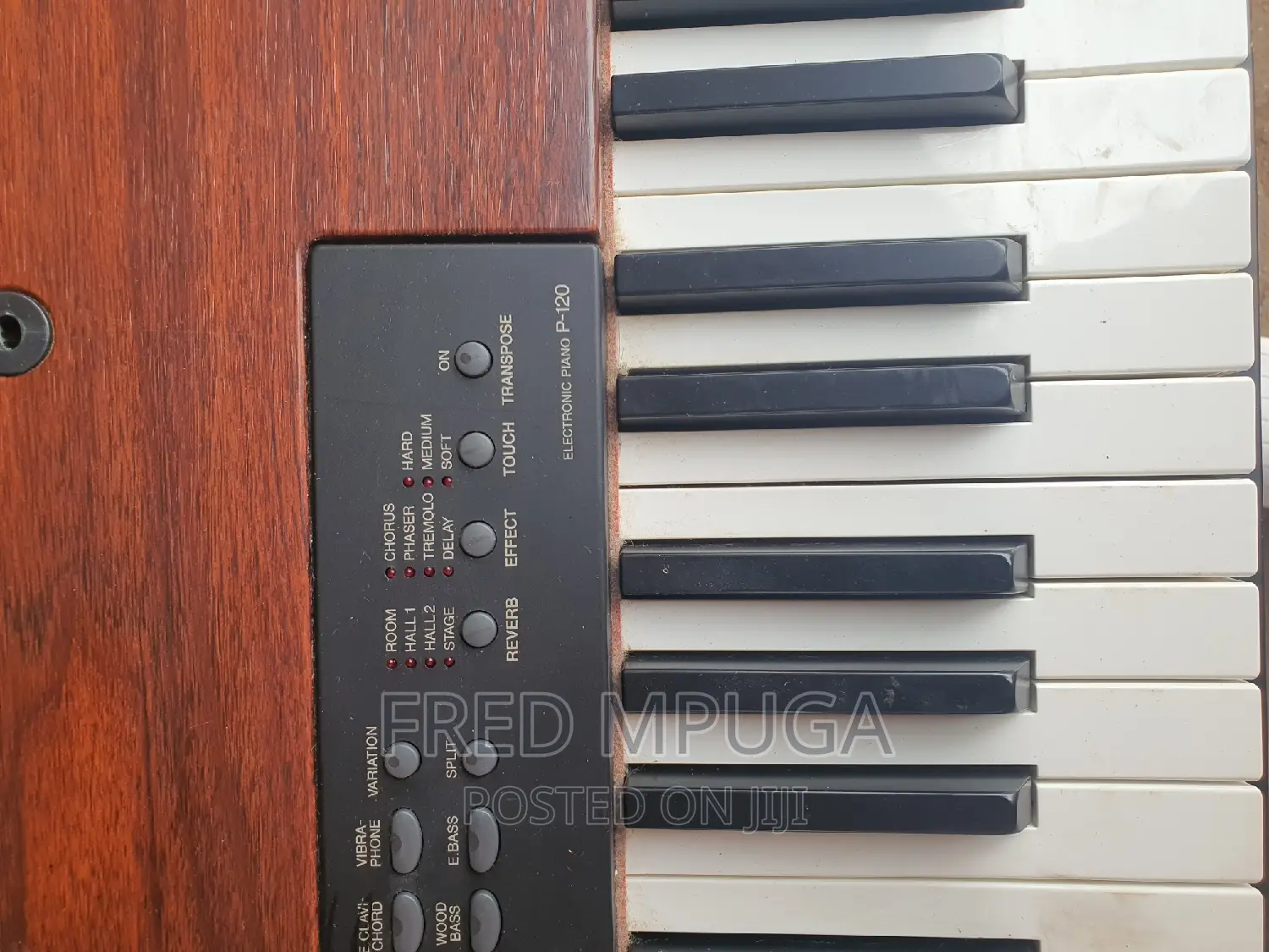 Yamaha Digital Piano P-120