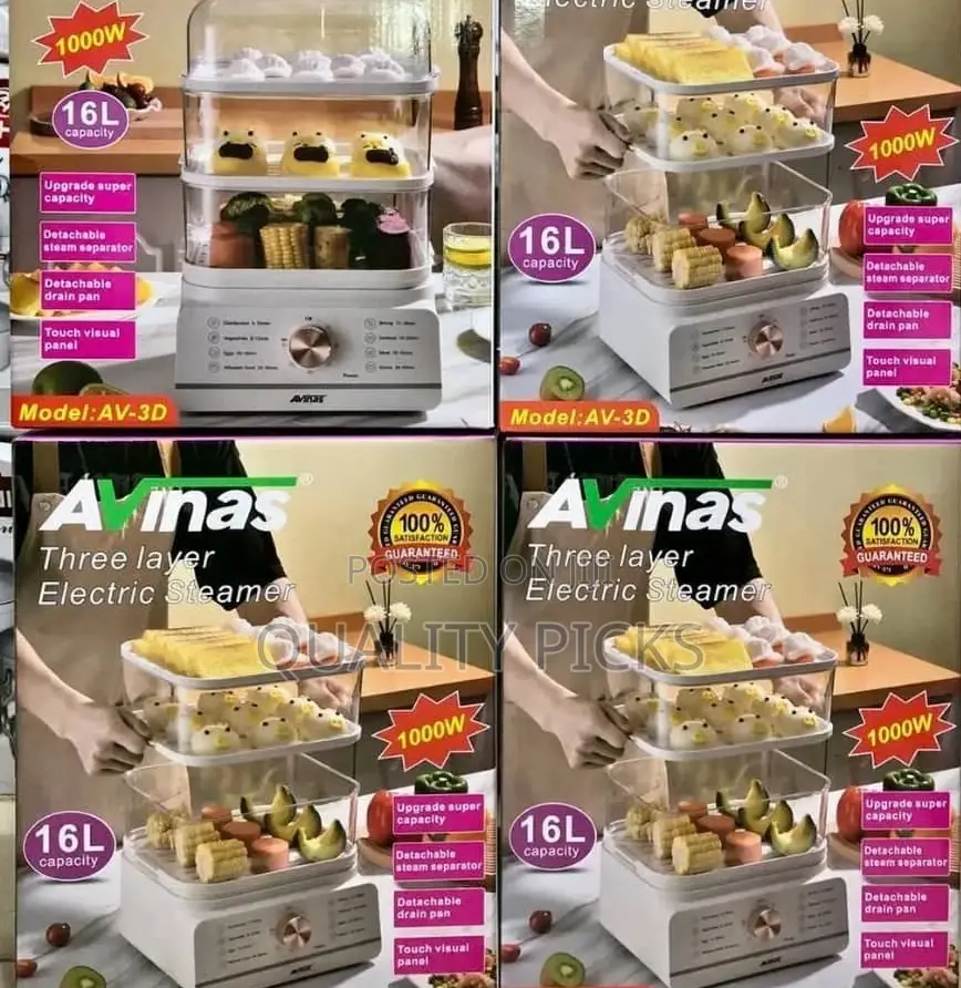 Avinas Steamer