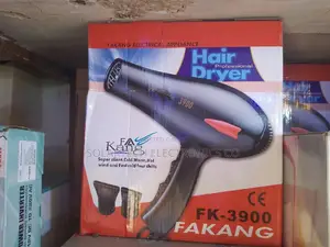 Professional Hair Dryer