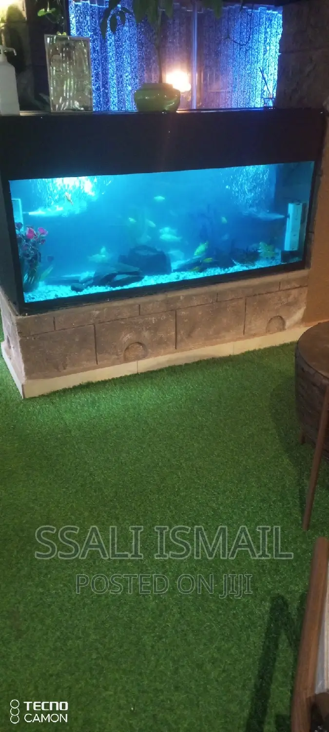Best Size Durable Aquarium Due to Glass Thickness