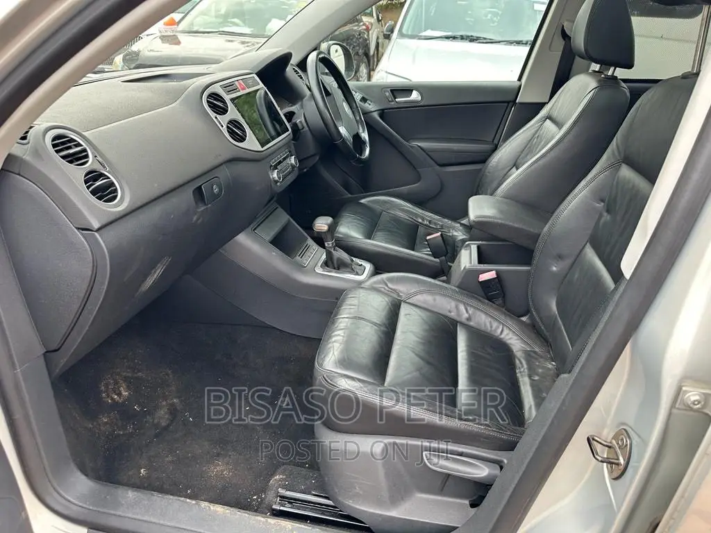 Volkswagen Tiguan 2010 Gold