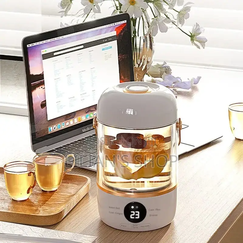 900ml Multifunction Electric Kettle