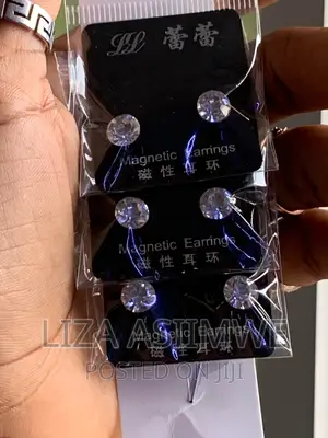 Magnetic Earpins