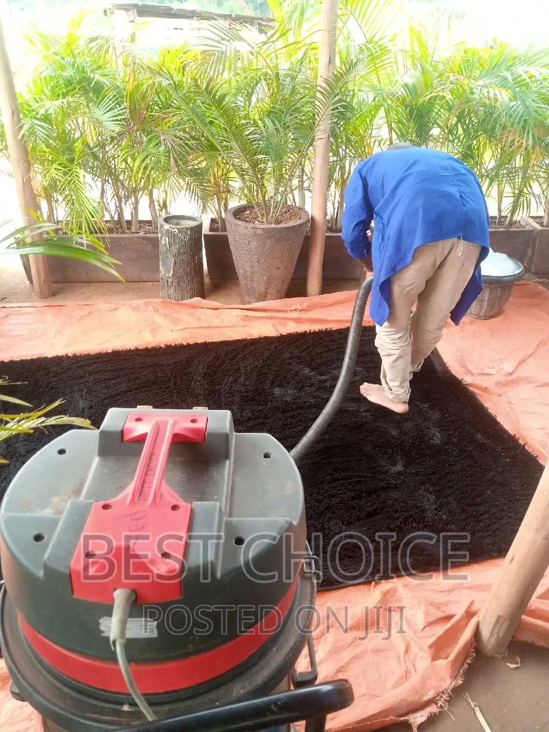 Carpet Cleaning Services for Health Homes.
