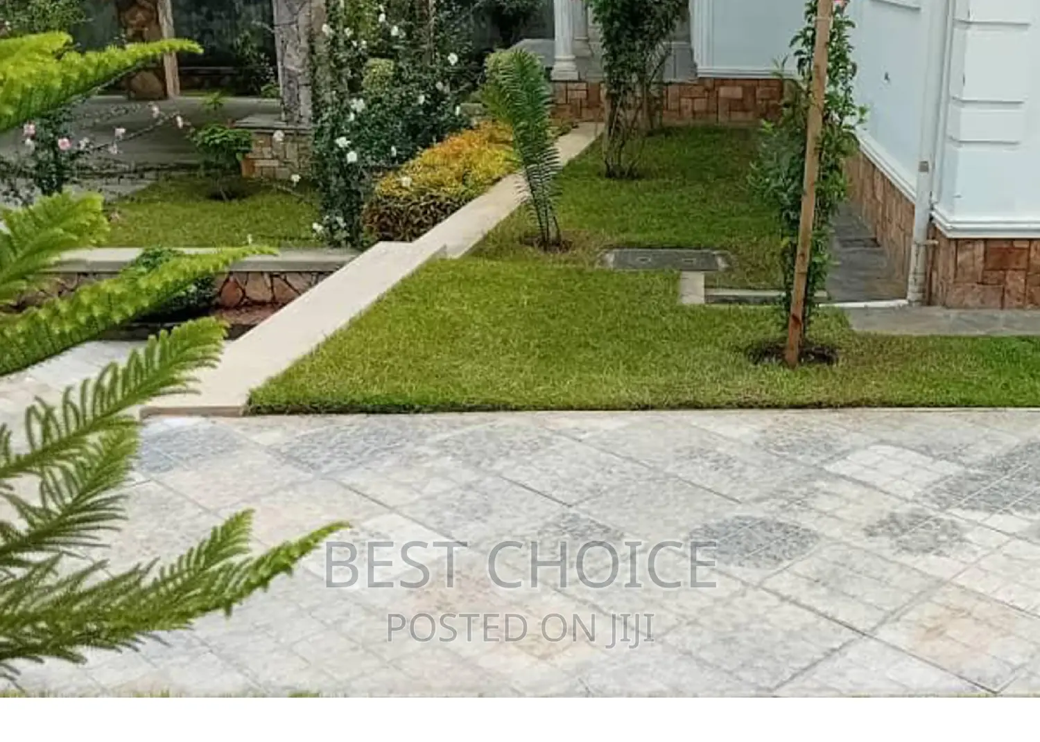 Elevated Compound With the Best Compound Designing