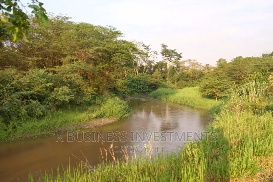 Safari Lodge Near Queen Elizabeth NGP for Sale