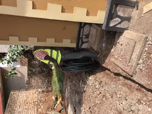 Good Quality of Plumbing Work