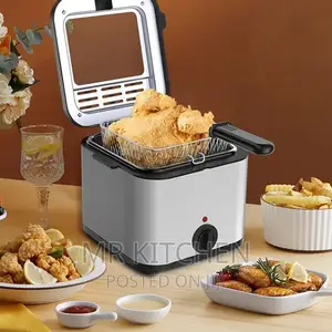 Electric Deep Fryer [2.5]
