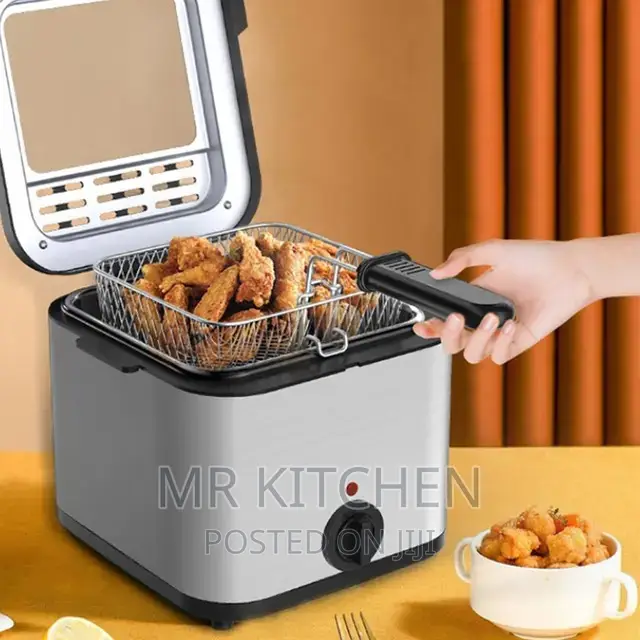 Electric Deep Fryer [2.5]