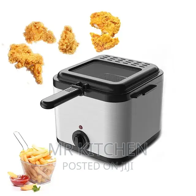 Electric Deep Fryer [2.5]