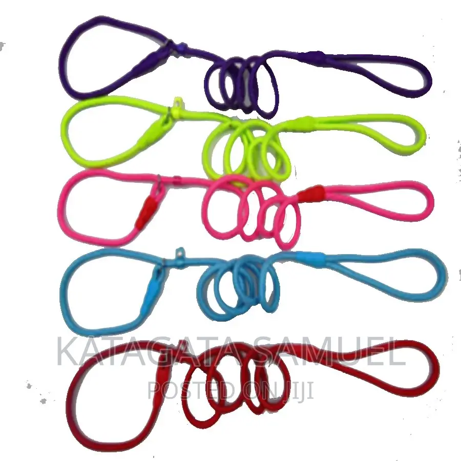 Nylon P Rope for Dogs