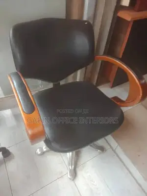 Salon Chair