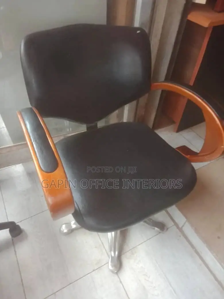 Salon Chair