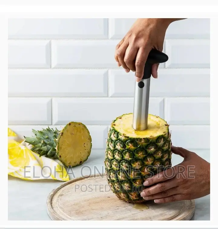Stainless Steel Creative Pineapple Corer Slicer