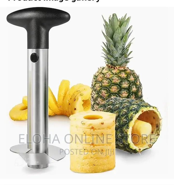 Stainless Steel Creative Pineapple Corer Slicer