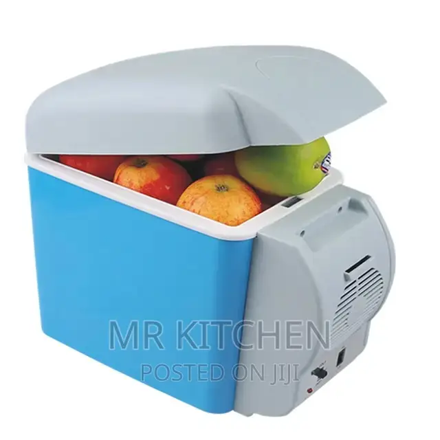 Electric Car Fridge