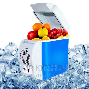 Electric Car Fridge