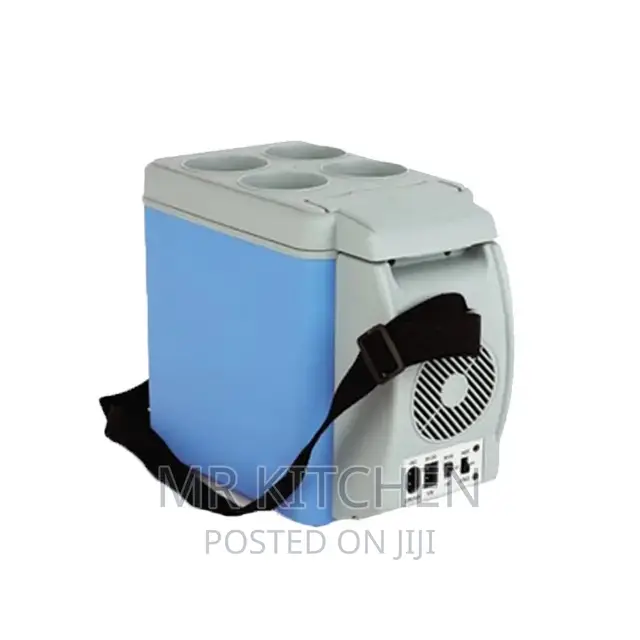 Electric Car Fridge