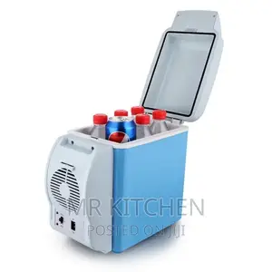Electric Car Fridge