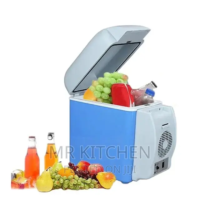 Electric Car Fridge