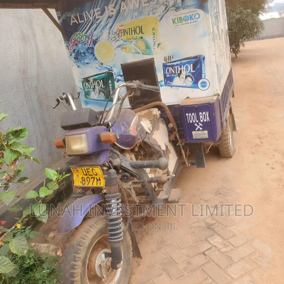 Tricycle 2021 Blue