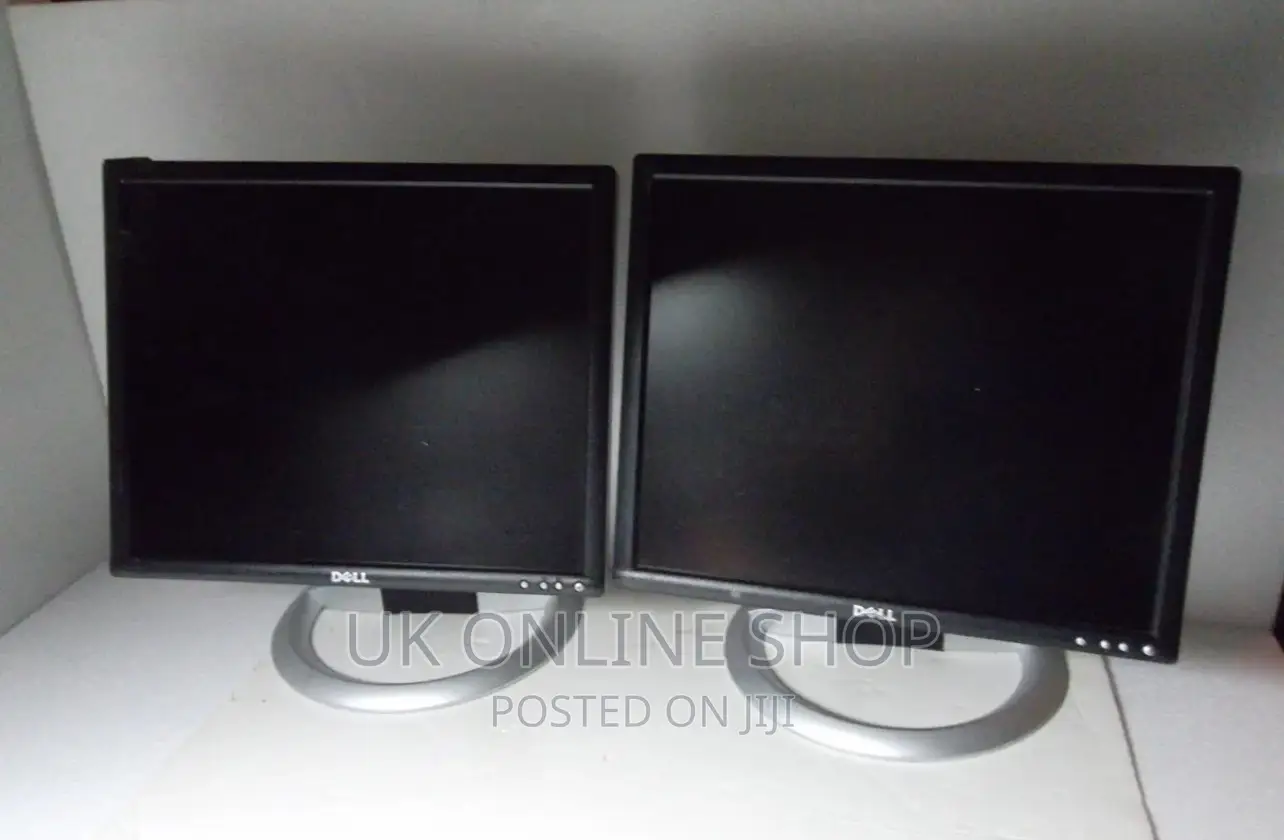 Lot-2 Dell 17" LCD Monitor VGA Dvi W/4-Port USB