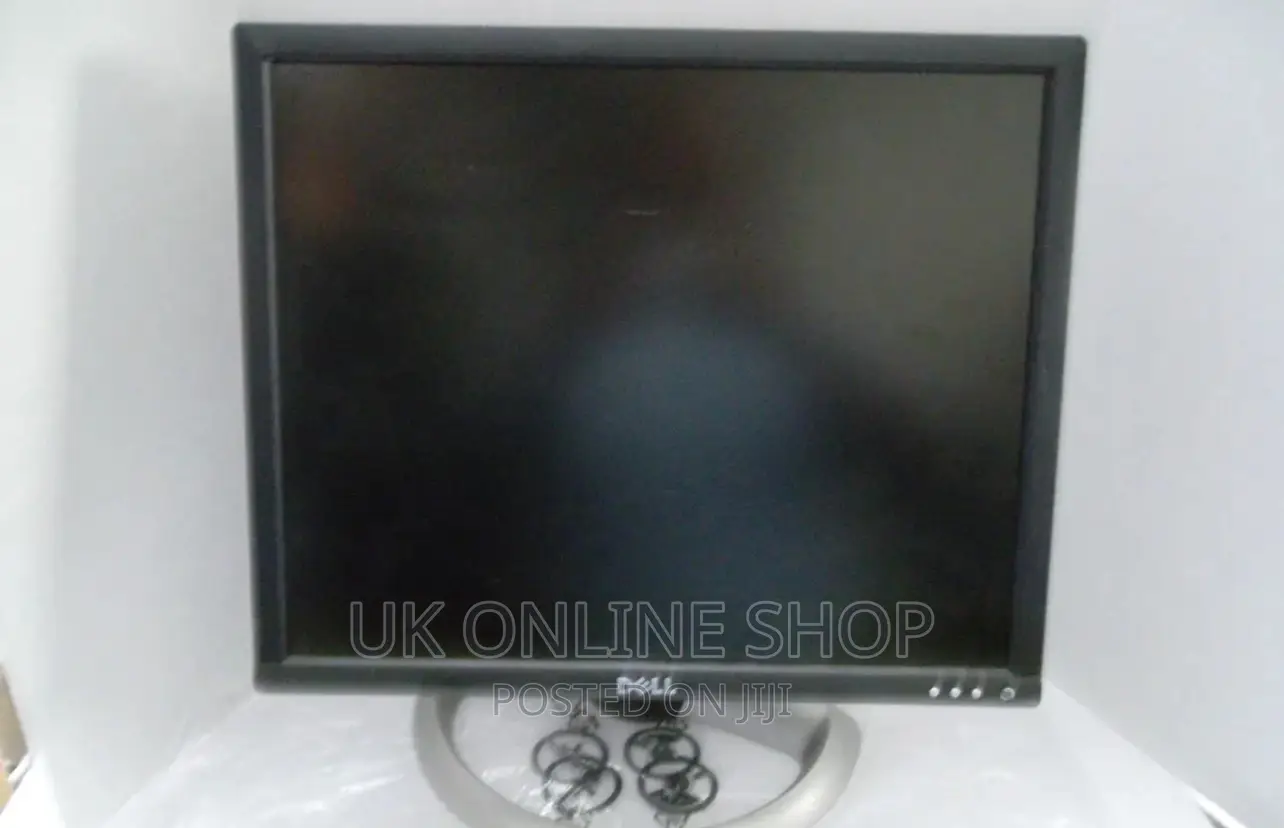 Lot-2 Dell 17" LCD Monitor VGA Dvi W/4-Port USB