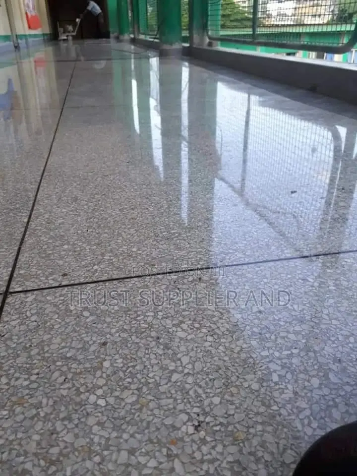 Shining Terazo Floor