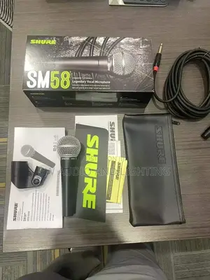 Shure Sm58 Microphone
