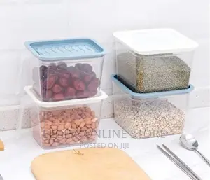 Fridge Container