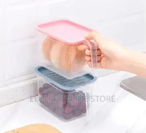 Fridge Container
