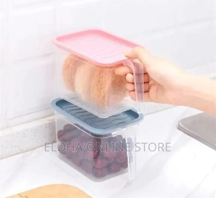Fridge Container