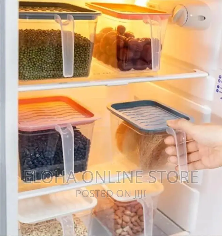 Fridge Container