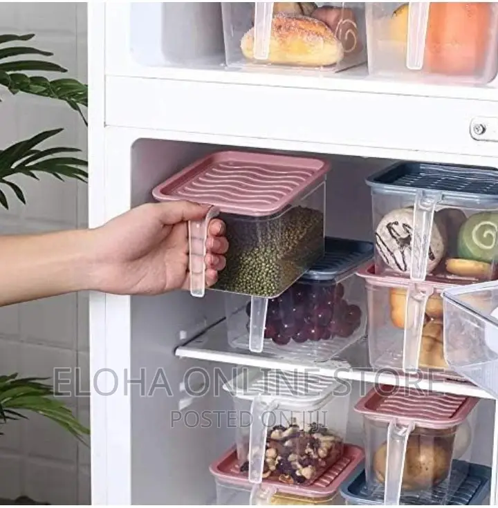 Fridge Container