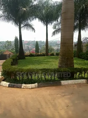 5bdrm Bungalow in Kisaasi, Nakawa for rent
