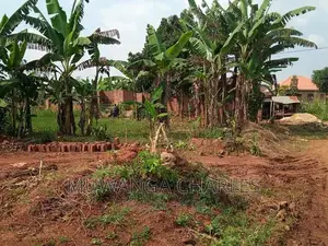 Land for Sale in Kiwenda