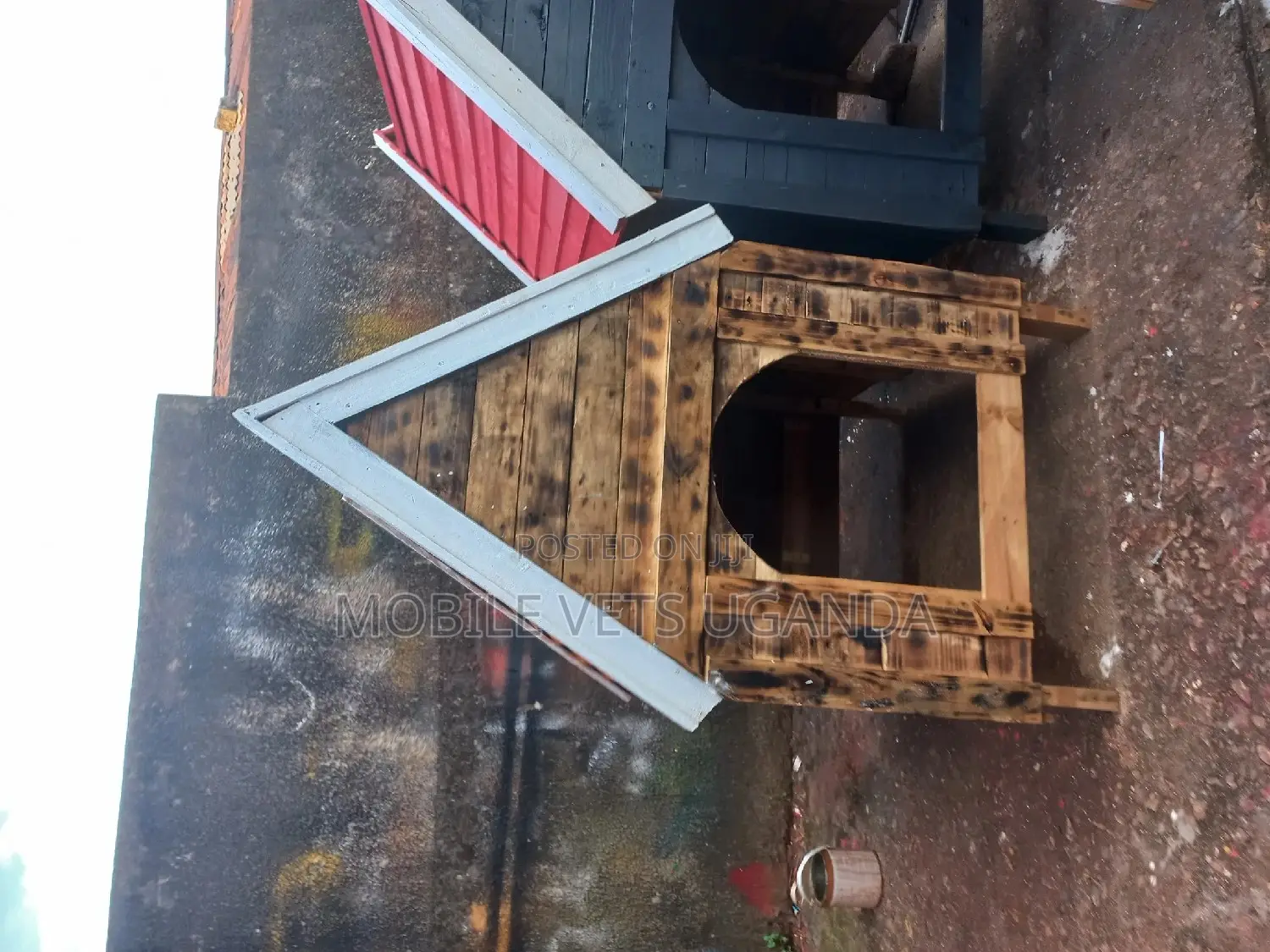 Dog House and Cats