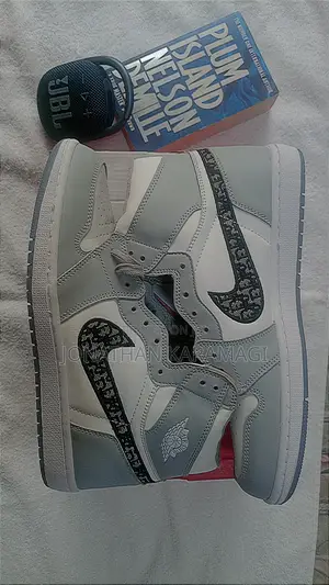 Air Jordan 1 High Og Grey X Dior