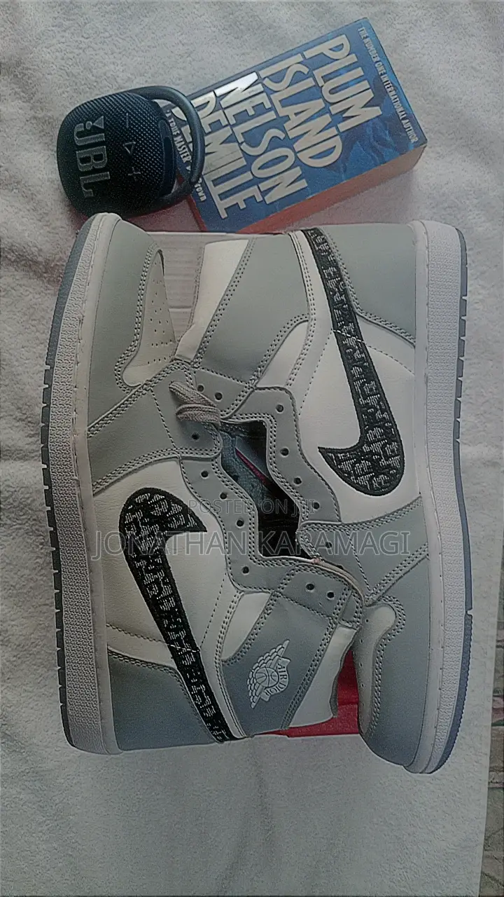 Air Jordan 1 High Og Grey X Dior