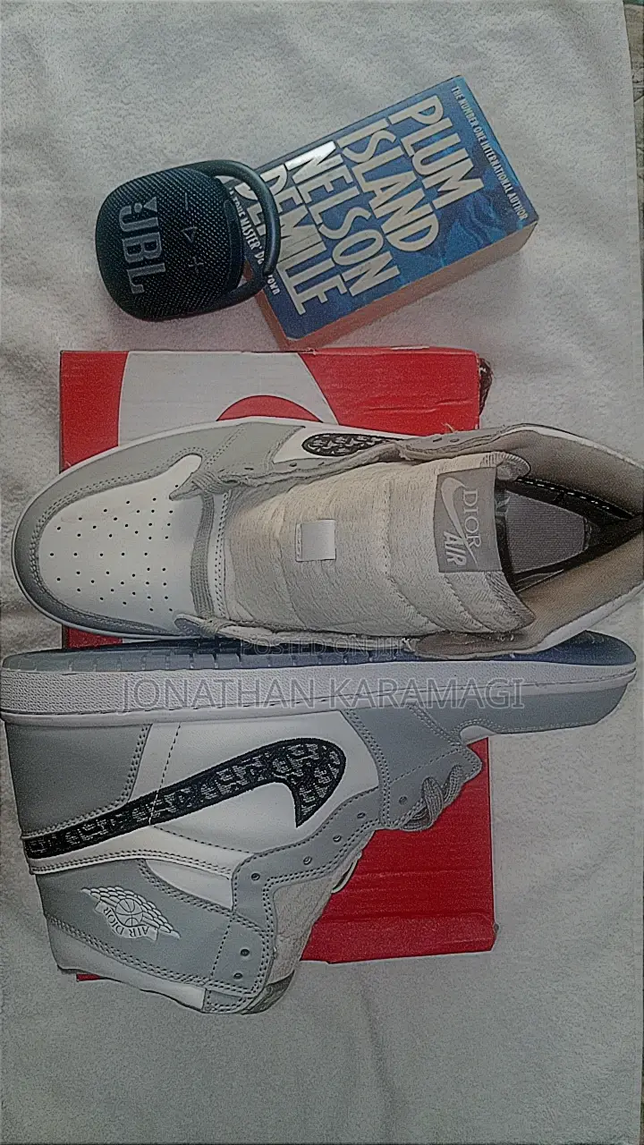 Air Jordan 1 High Og Grey X Dior