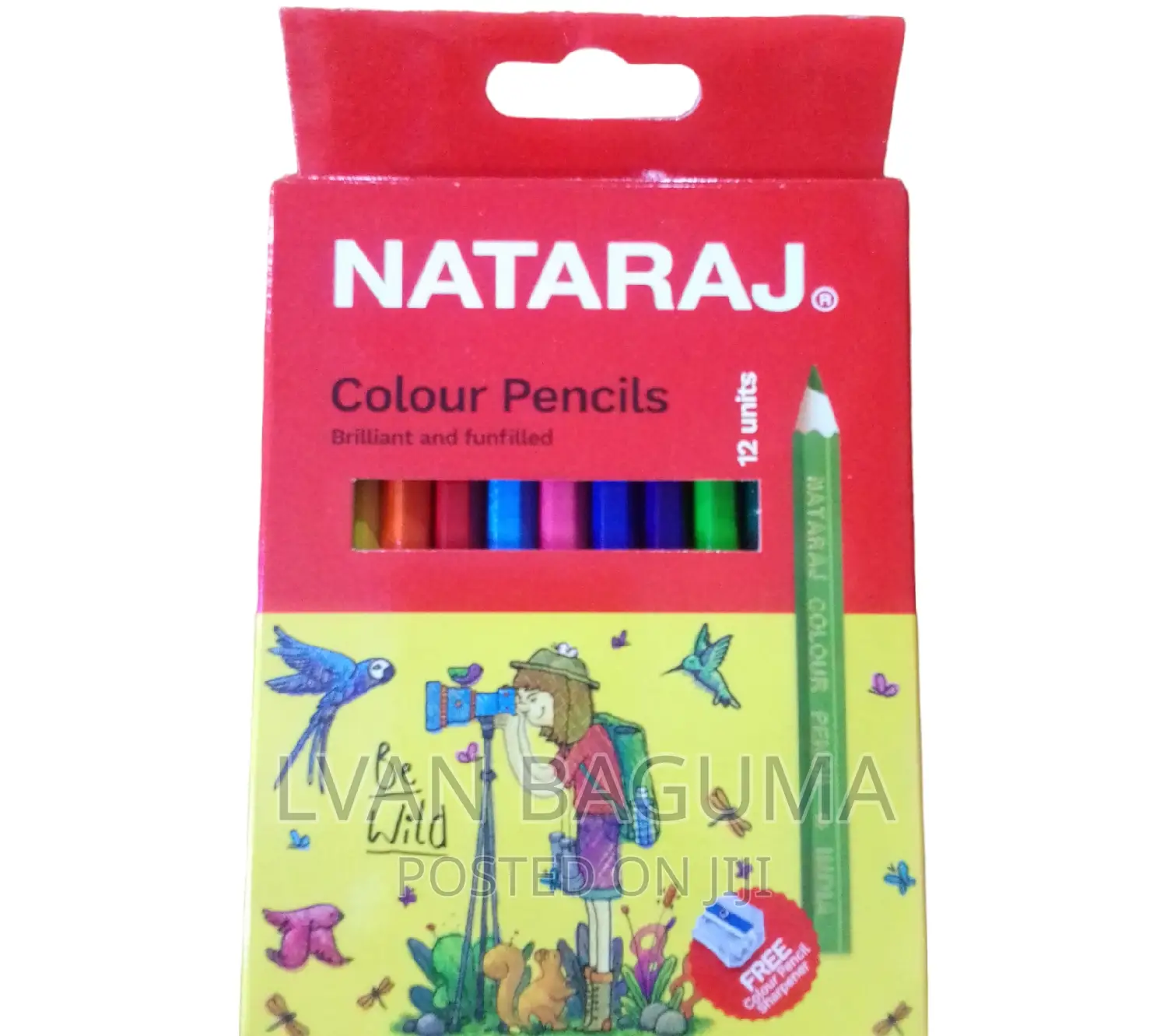 Nataraj Color Pencils Short - 12 PCS in a Pack