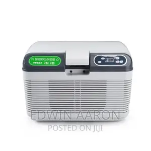Electric Car Fridge 19l