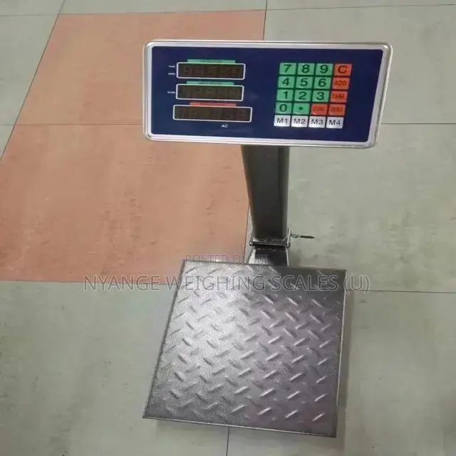 100kg Weighing Scale Portable Digital Platform Weighing Scale (15)