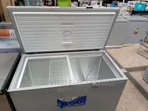 Deep Freezer 330L