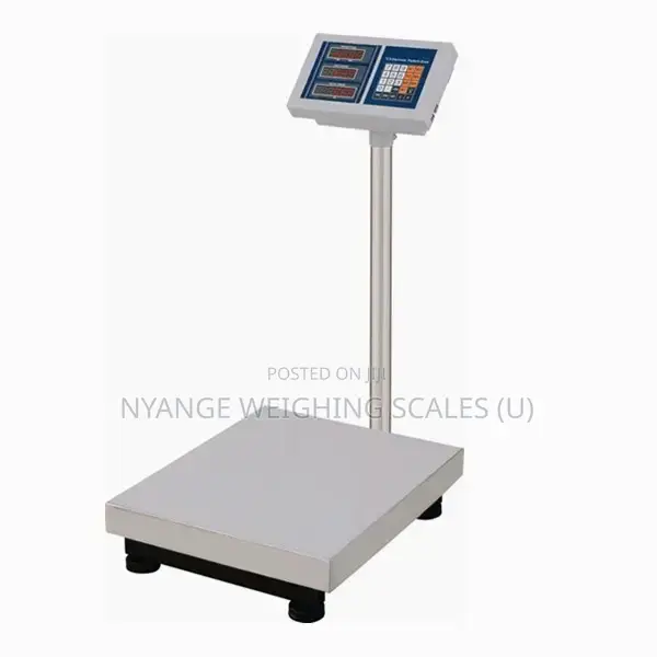 300kg Weighing Scale Digital Platform Weighing Scale (16)