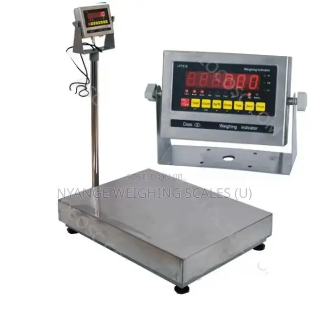 Commercial Platform Weighing Scale 300kg(1)