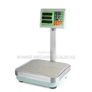 Multifunction Weighing Scales Platform Weigh 60kg Weighing Scale
