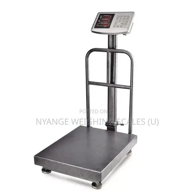 Electronic Stainless Weigh 350kg Weighing Scale Digital Weighing Scale